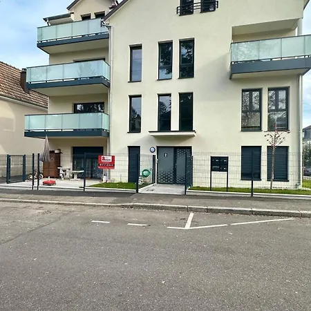 Avec Terrasse Et Parking Prive Mulhouse